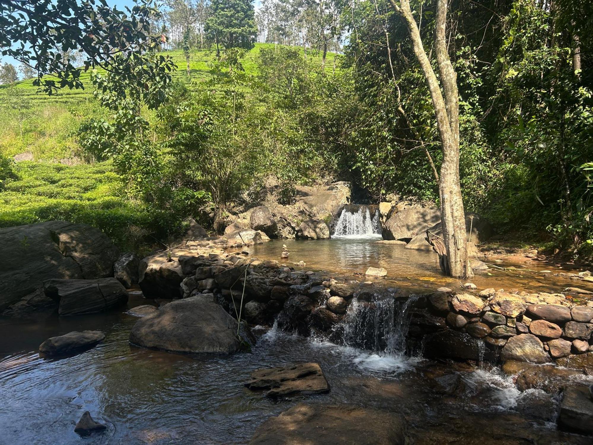 Flora Vythiri Resort Exterior foto